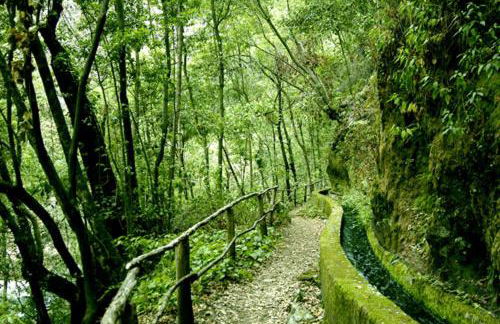 La Favorita - Foto 26