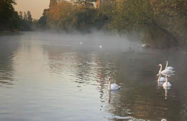 A cosy cottage in the heart of Stratford upon Avon - Foto 15