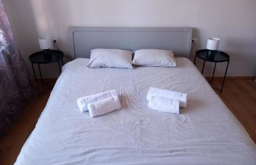 Shalom Krašić - Foto 18