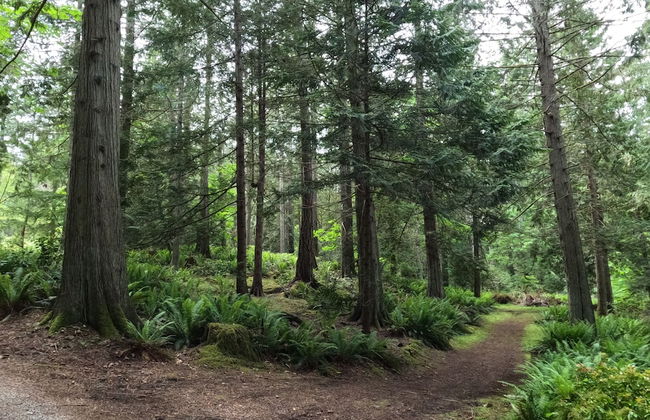 Sea La Vie Rare Peaceful Hidden Gem - Photo 34