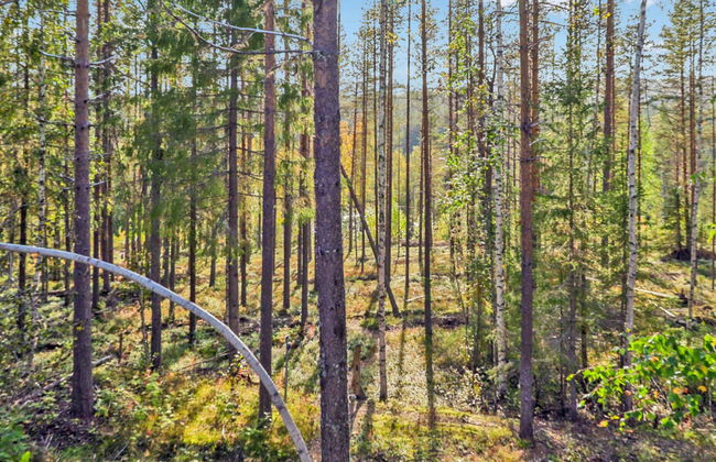 Lövgårdenin lohimaja - Foto 37