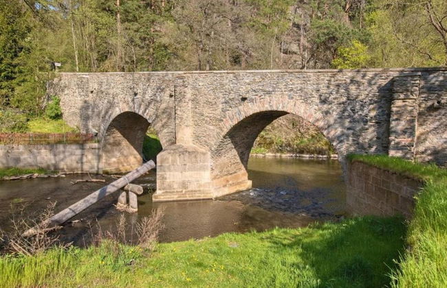 Holiday Home in Forest With Private Pool - Foto 33