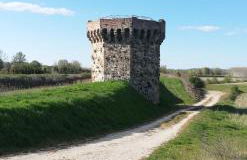 L'oca Nera - Foto 72