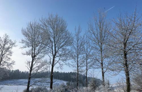 Auwers Haus komplett mit Panoramablick und Kamin - Foto 27