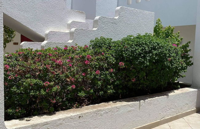 Stațiunea Delta Sharm Egipt - Foto 16