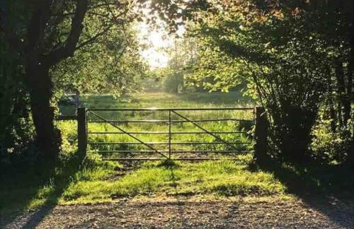 Lane End Cottage, Ovington - Foto 32