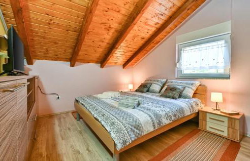 Amazing Home In Susobreg With Wifi - Foto 5