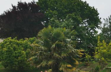 CAMILLE à VER SUR MER - Photo 13