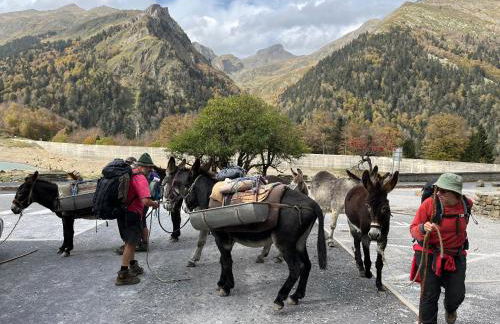 Domaine de Monda - Foto 64