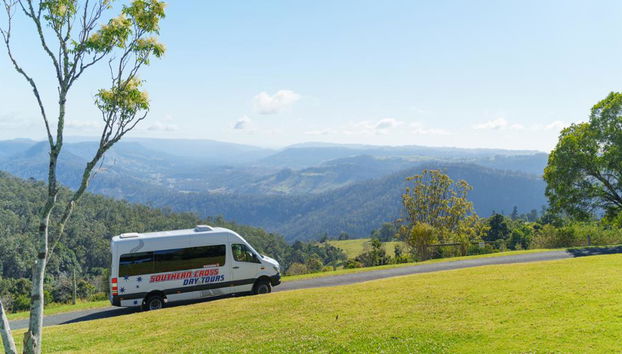 Lamington National Park, O’Reilly’s Rainforest und Canungra Valley Vineyard – Tagestour - Foto 2