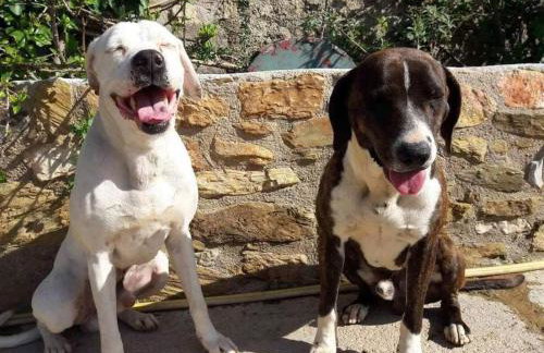 Secret Garden, a little paradise of tranquility. - Photo 26