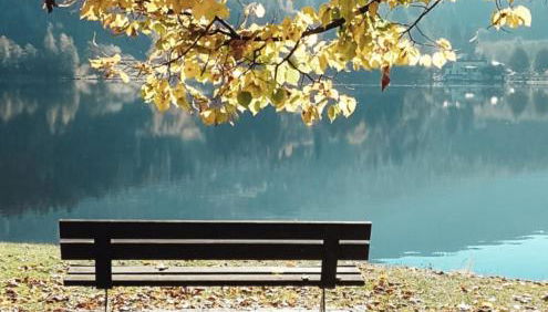 Relax e natura vicino a Trento - Foto 4, Other