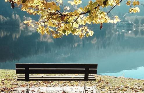 Relax e natura vicino a Trento - Foto 4