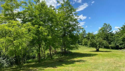 Holiday house SuPer - Foto 4