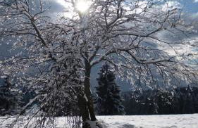 Ferienhaus Lyhs - Foto 75