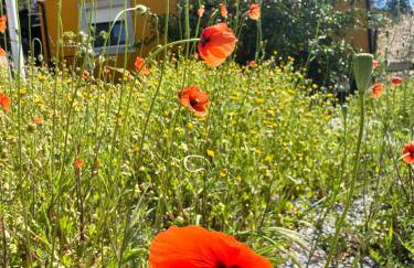 Casa de Férias completa com Piscina privada, Casa do Vale - DOURO, independente, vistas deslumbrantes - Foto 16