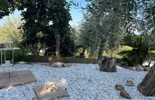 Agrihome di Alberto Giuseppe Gulotta B&B Bella Vista Chalet La Vista - Foto 40
