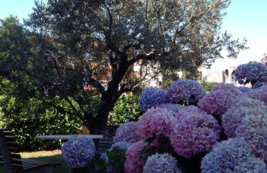 Apartments Nena - Photo 37