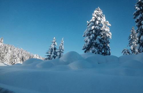 Ferienhof Wäldle - Wäldle 1 und Wäldle 2 mit Motorradvermietung - Photo 21