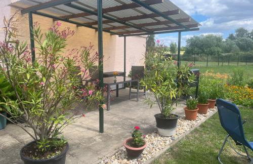 Haus Bernsteinsee mit Goitzsche-Schnuppersegeln - Foto 26