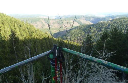 Family Theermann - Foto 13