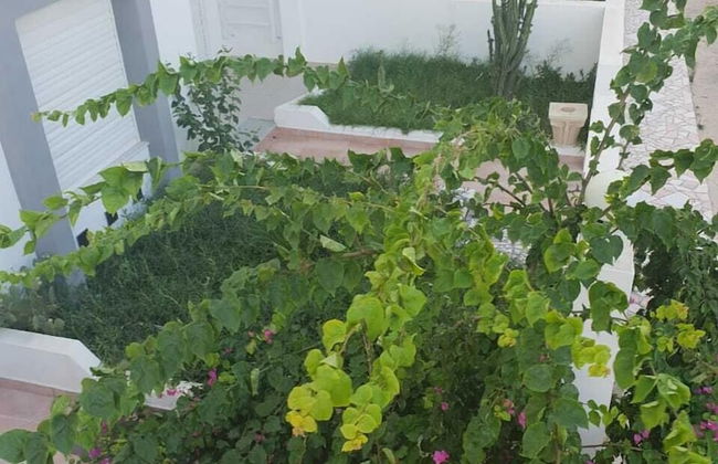 Residence Stern - Foto 58