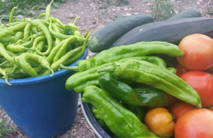 Casa Rural Basaula - Foto 28