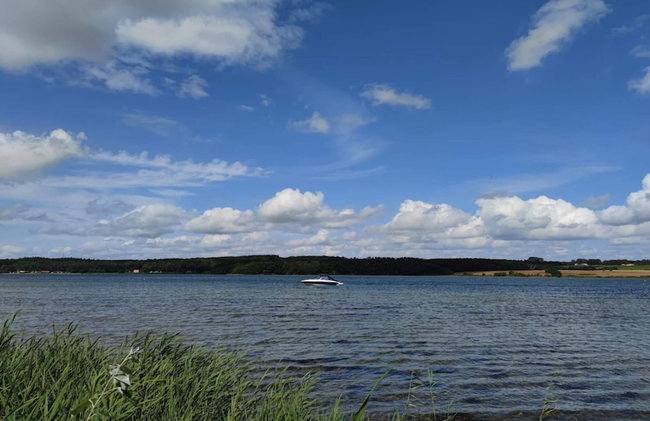 Holiday Home in Svendborg - Foto 62