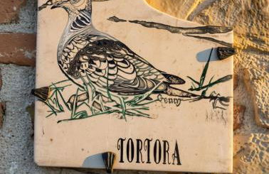 Il Sodino 1738 - Locazione Turistica - Photo 79