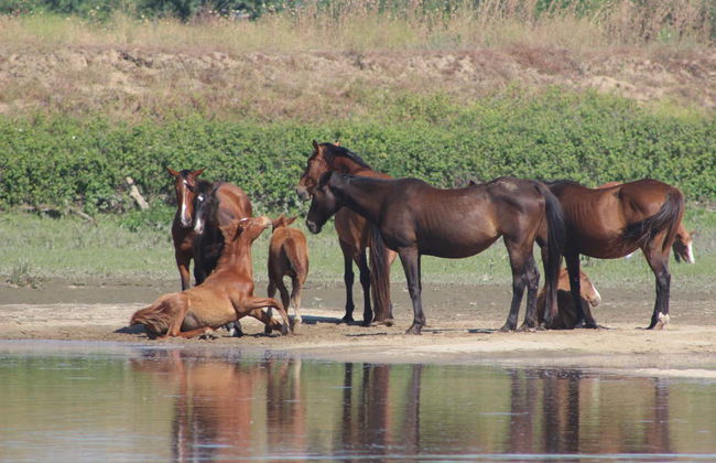 Tagus River Cruise Tour - Photo 5