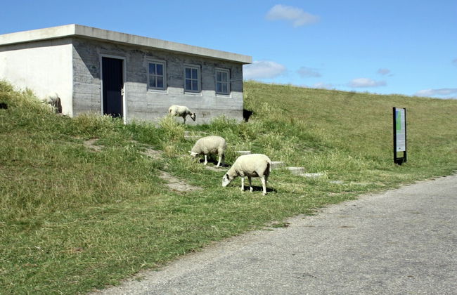 Traditional Villa in Tzummarum near Sea - Foto 38