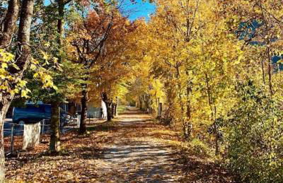 Neu - Ferienhaus Moritz & Josie zur Alleinnutzung - Foto 60
