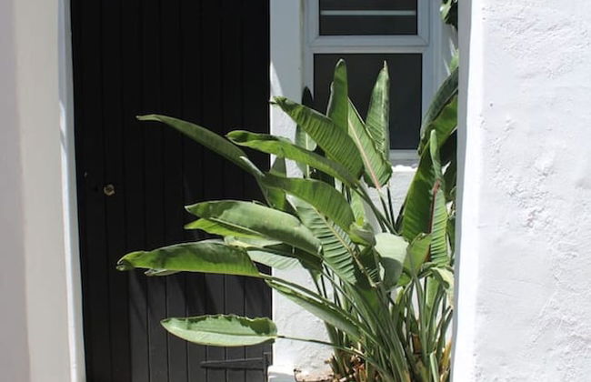 FIR Villa 3 Bedroom House Greenpoint - Foto 30