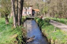 FeWo ALBTALECK - Wohnen im Kurort Waldbronn - Photo 36