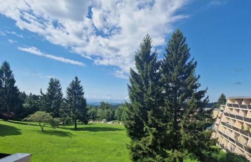 Ferienwohnung Mecarda in Sankt Englmar - Foto 17