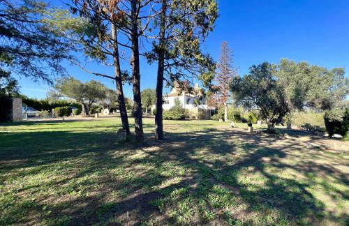 Palau del Vent - Foto 4