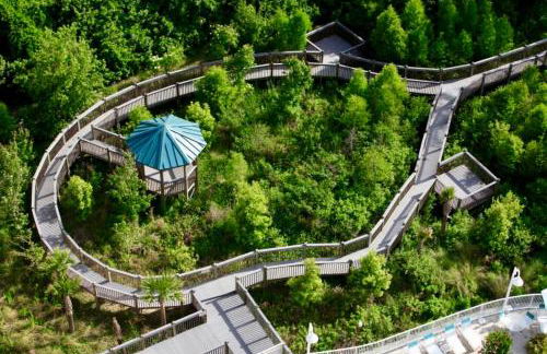 Balcony King Suite - Lake & Pool view - Foto 55