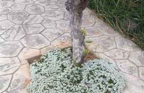 Escapada de ciudad al aire libre - Photo 29