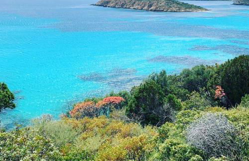 Casa Barbara Sardinia - Foto 31