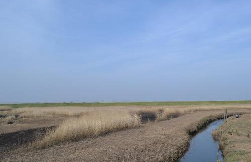 Maison De Quai - Photo 19