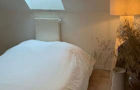 Maison de campagne - 20min du circuit des 24H et du zoo de la Flèche - Photo 6