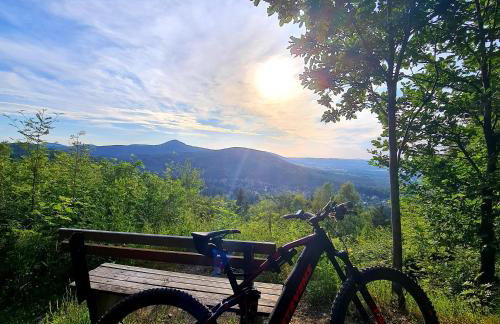 Urlaubsdomizil Am Töpfer - Ferienwohnungen in Olbersdorf - Foto 56