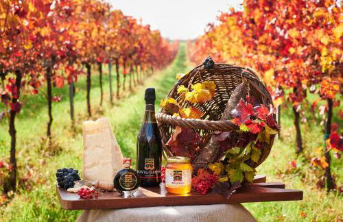 Agriturismo La Razza - Foto 68