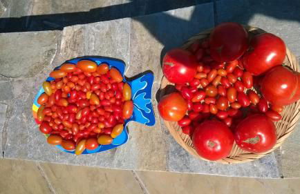 Primavera Villa Sea View - Foto 76