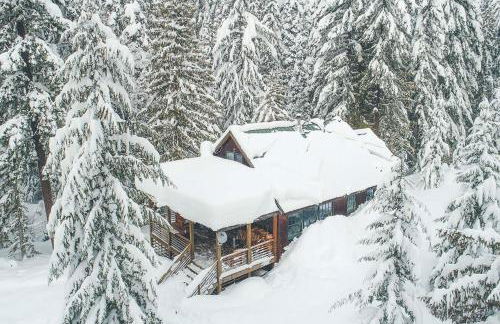 Marshall Cabin - Meredith Lodging - Foto 39