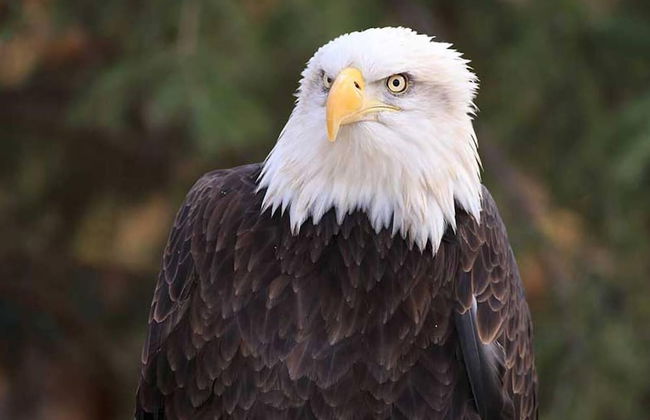 Stunning Luxury Mediterranean-style Private Oasis! - Foto 34