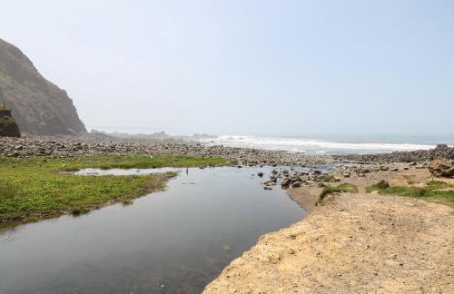 The Stable - Foto 19