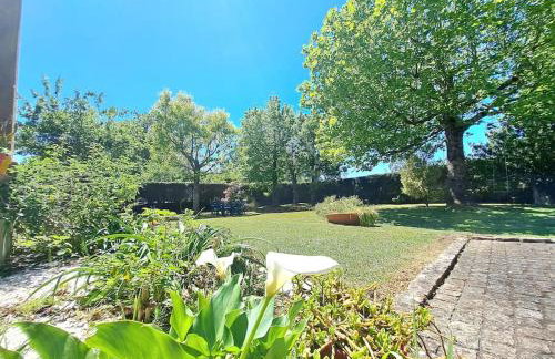 Casa Olga - Photo 13