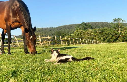 The Saddlery Cheshire - Photo 21