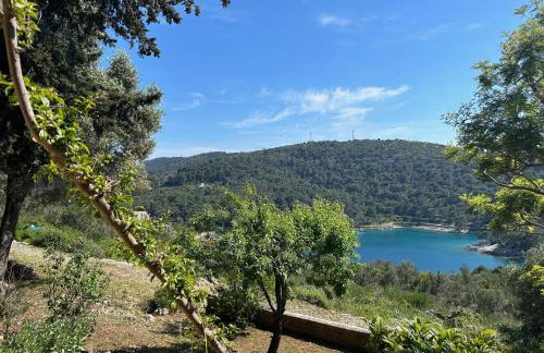 Apartment Monte Rosa - Foto 11